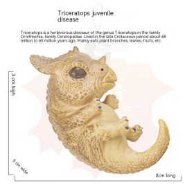 Children's Dinosaur Offspring Cognitive Toys (Option: Triceratops cub)
