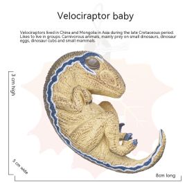 Children's Dinosaur Offspring Cognitive Toys (Option: Velociraptor cubs)