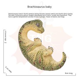 Children's Dinosaur Offspring Cognitive Toys (Option: Brachiosaurus cubs)